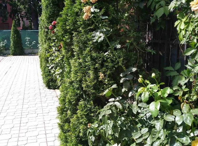 Violet Garden 2 Veranda *